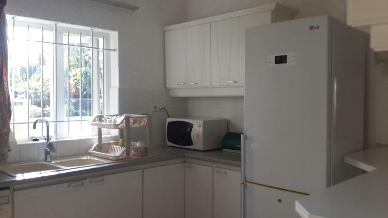 Le Palmier Apartment *